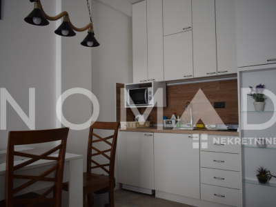 Untitled design (7)