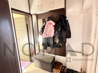 Untitled design (9)