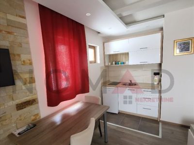 studio-apartman-u-okviru-milmari-resorta (4)